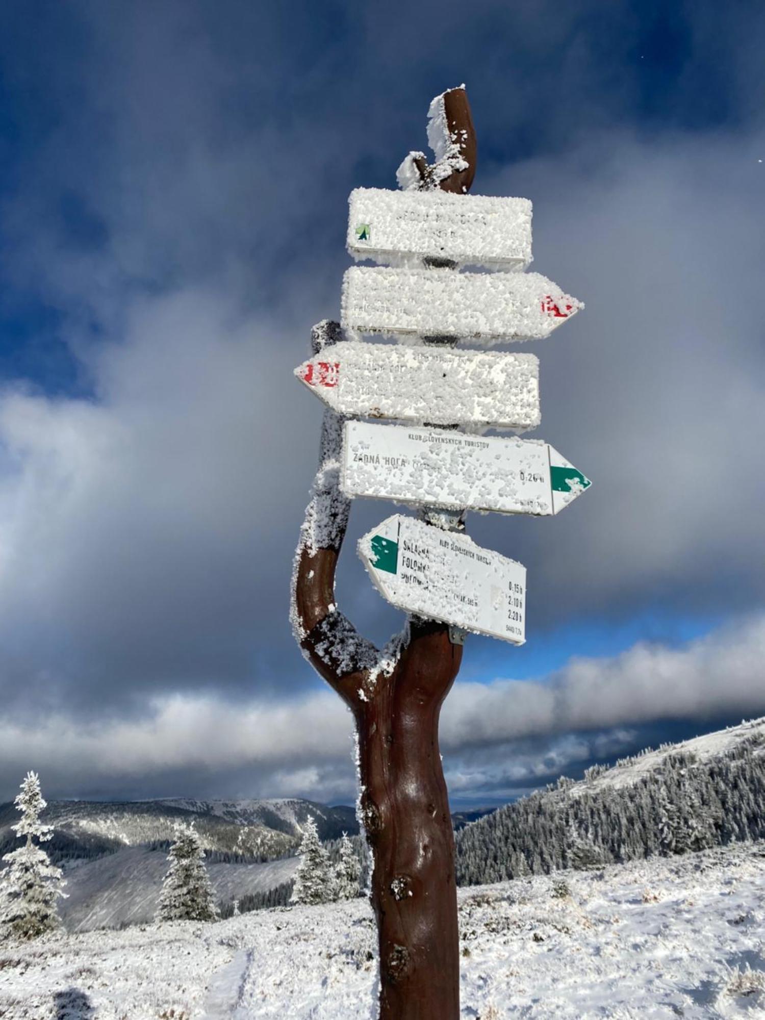 Drevenica Emilka - Nízke Tatry - Muran - Pre Rodiny Brezno Exterior foto