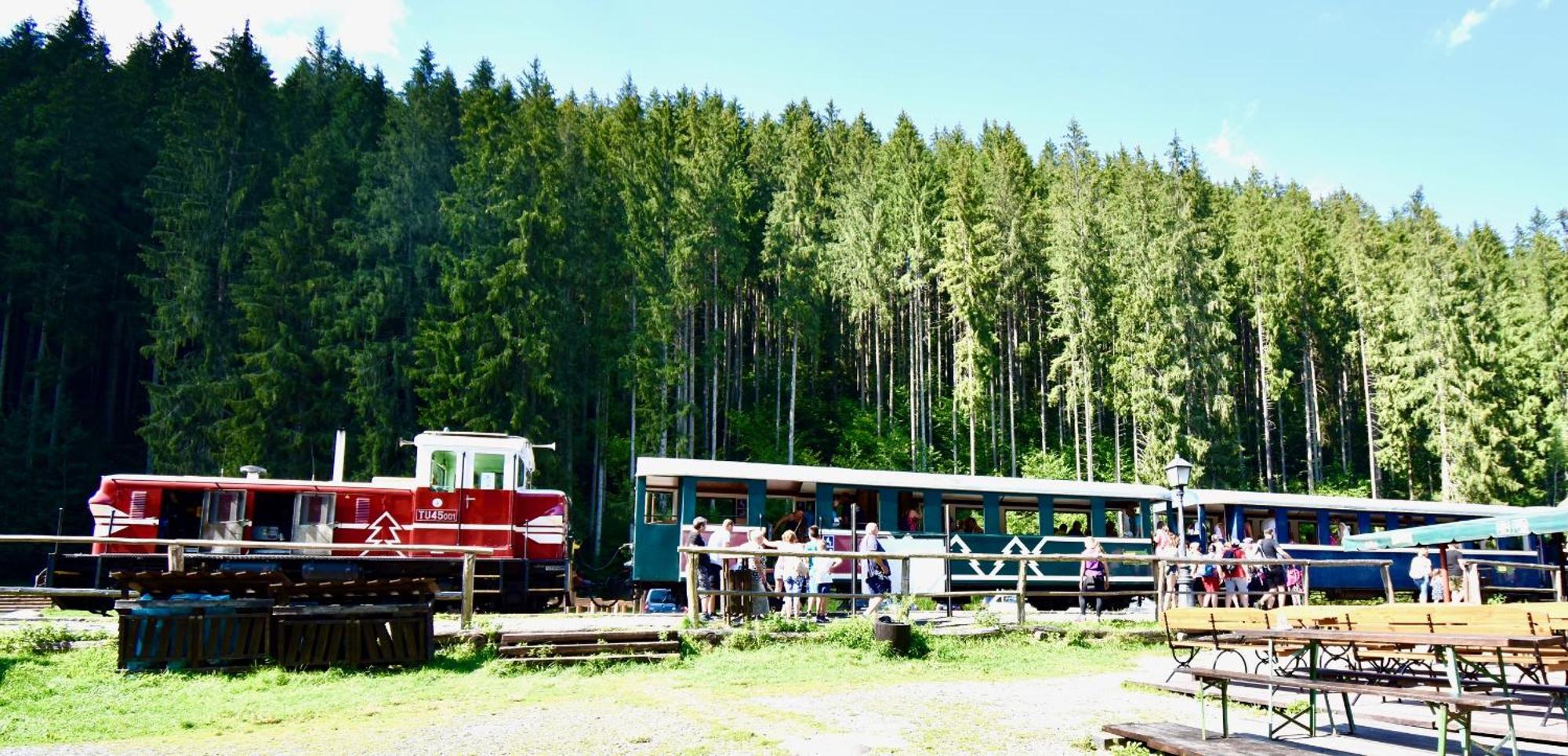 Drevenica Emilka - Nízke Tatry - Muran - Pre Rodiny Brezno Exterior foto