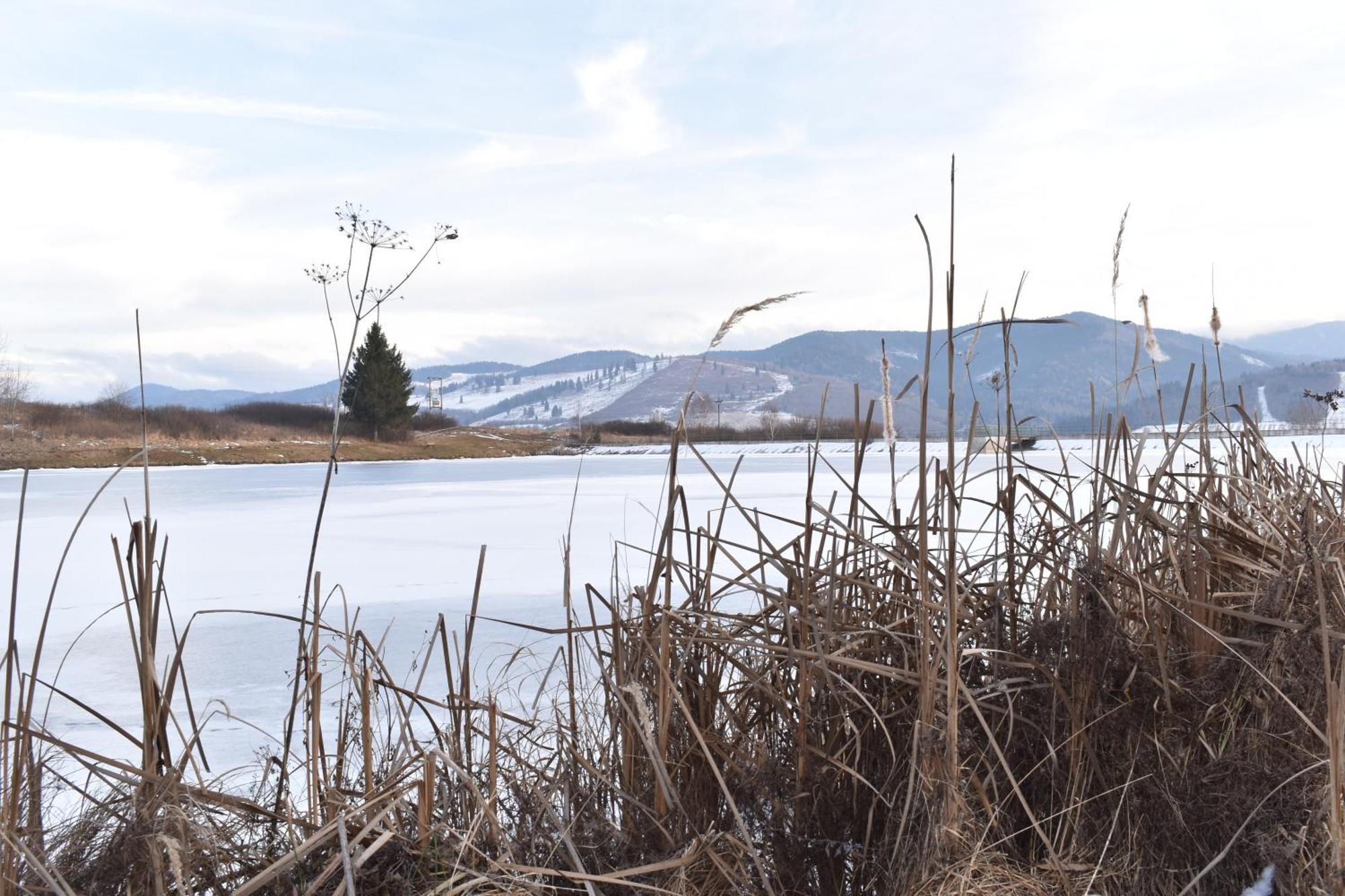 Drevenica Emilka - Nízke Tatry - Muran - Pre Rodiny Brezno Exterior foto